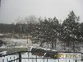 Działki, Silno, Na sprzedaż
